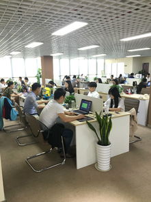 招聘信息 公司前景 規(guī)模 待遇怎么樣